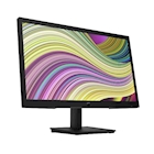 Immagine di Monitor desktop 21,45" HP P22v G5 64V81AT