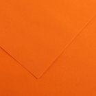 Immagine di Cartoncino canson colorline cm 50x70 g220 arancione risma da 25 fogli