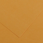 Immagine di Cartoncino canson colorline cm 50x70 g220 cuoio risma da 25 fogli