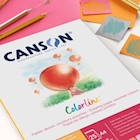 Immagine di Cartoncino CANSON ColorLine cm 50x70 g220 colori assortiti risma da 200 fogli