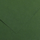 Immagine di Cartoncino canson colorline cm 50x70 g220 verde abete risma da 25 fogli
