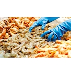 Immagine di Guanti riutilizzabili 100% food in nitrile senza polvere REFLEXX 95 colore blu taglia S