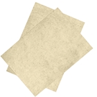 Immagine di Carta pergamenata FEDRIGONI Natural Digital cm 45x32 230 g/mq - colore naturale - risma da 250 fogli