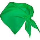 Immagine di Bandana Cheri in 100% poliestere colore verde 100+