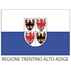 Immagine di Bandiera Regione TRENTINO ALTO ADIGE cm 150x100