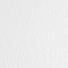 Immagine di Cartoncino liscio ruvido FABRIANO ElleErre cm 50x70 g220 bianco risma da 20 fogli