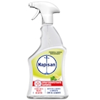 Immagine di Detergente spray disinfettante NAPISAN limone e menta