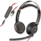 Immagine di Poly bw 5220 stereo USB hs