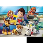 Immagine di Paw patrol