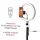 Immagine di Ringlight 10 tripod with mag