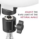 Immagine di Ringlight 10 tripod with mag