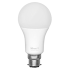 Immagine di B22 duo-pack led rgbcw WiFi