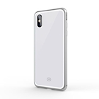 Immagine di Cover alluminio + vetro temperato argento CELLY ATTRACTION - Apple iPhone Xs/ iPhone X ATTRACTION900