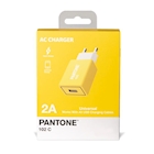 Immagine di Caricabatterie bianco PANTONE PANTONE - USB Wall Charger 10W PT-AC1USBY