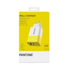 Immagine di Caricabatterie bianco PANTONE PANTONE - 20W USB-A/USB-C Wall Charger PT-PDAC02Y