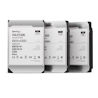 Immagine di Hdd interni sas SYNOLOGY HAS5300-8T