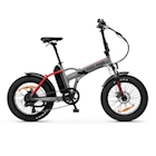 Immagine di Argento e-bike minimax red