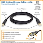 Immagine di USB 2.0 a/b cable (m/m), 6 ft.1.8m