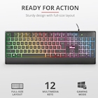 Immagine di Ziva gaming led keyboard it