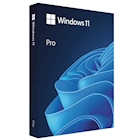 Immagine di Win pro fpp 11 64-bit italian USB
