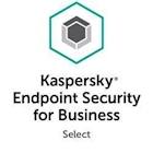 Immagine di Kes select eu 100-149 node 3y rnl