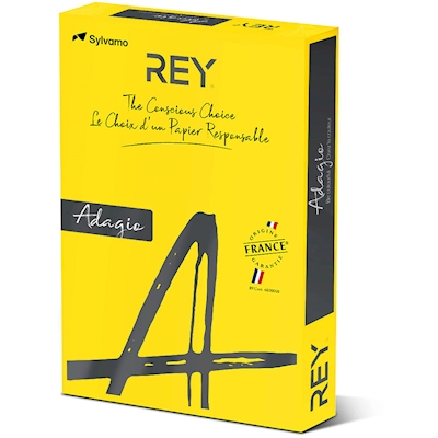 Immagine di Carta REY ADAGIO A4 g80 giallo forte risma da 500 fogli