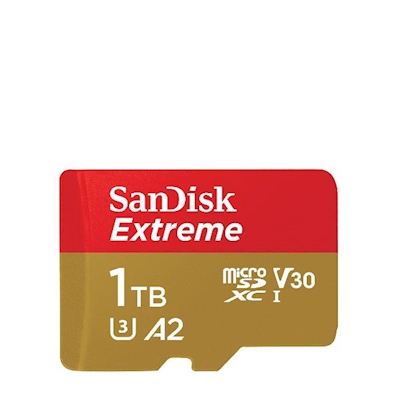 Immagine di Memory Card micro sd xc 1000gb SANDISK SanDisk MicroSD SDSQXAV-1T00-GN