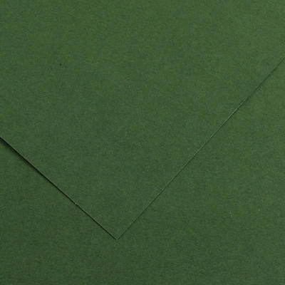 Immagine di Cartoncino canson colorline cm 50x70 g220 verde abete risma da 25 fogli
