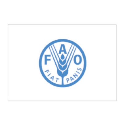 Immagine di Bandiera FAO cm 150x100 poliestere nautico