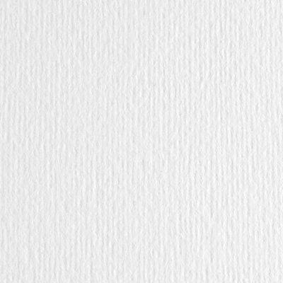 Immagine di Cartoncino liscio ruvido FABRIANO ElleErre cm 50x70 g220 bianco risma da 20 fogli