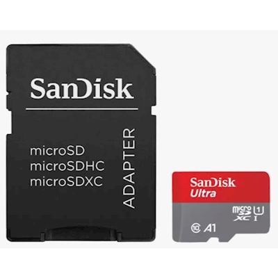 Immagine di Memory Card micro sd xc 256.00000 SANDISK SDSQUAC-256G-GN