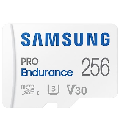 Immagine di Memory Card SAMSUNG Samsung SSD MB-MJ256KA/EU