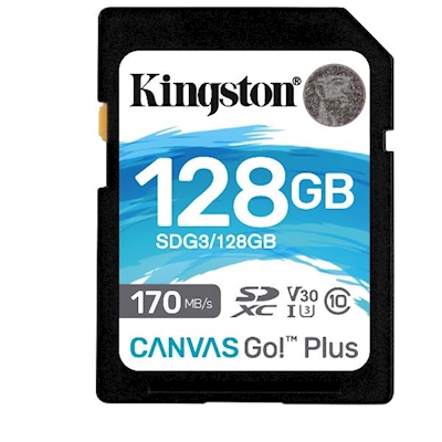 Immagine di Memory Card sdxc/sdhc 128GB KINGSTON Obsolete Kingston SD High SDG3/128GB