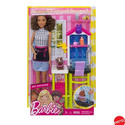 Immagine di MATTEL BARBIE CARRIERA DHB63