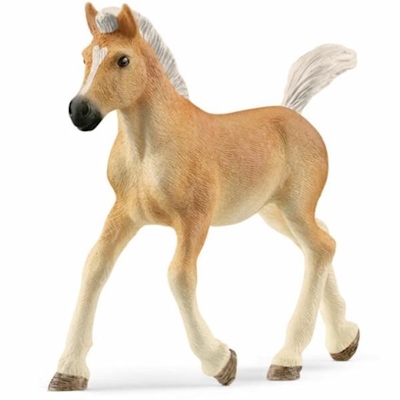 Immagine di SCHLEICH 13951