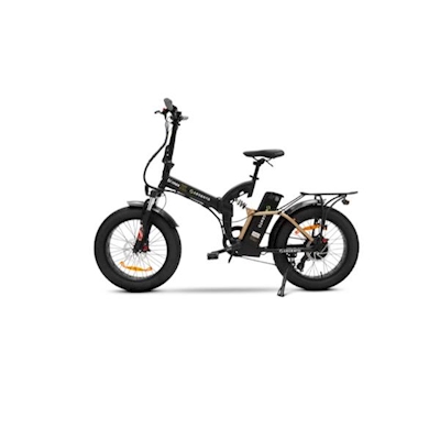 Immagine di Argento e-bike bimax xl