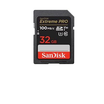 Immagine di Memory Card secure digital hc 32GB SANDISK SanDisk Digital Imaging SDSDXXO-032G-G