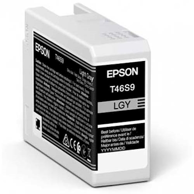 Immagine di Inkjet EPSON C13T46S900 grigio chiaro 25 ml
