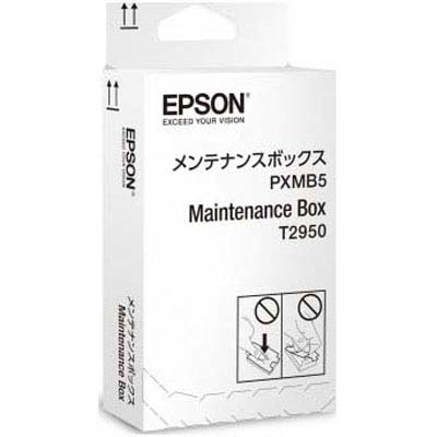 Immagine di Maintenance Box EPSON C13T295000