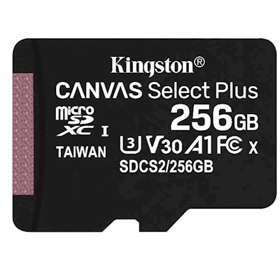 Immagine di Memory Card micro sd xc 256.00000 KINGSTON Obsolete Kingston microSD High SDCS2/256GBSP