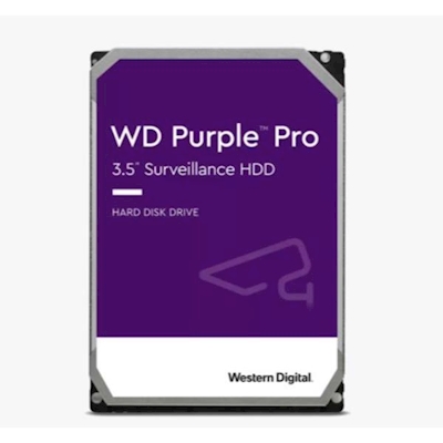 Immagine di Hdd interni sata iii WESTERN DIGITAL WD Purple WD101PURP