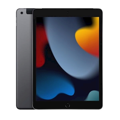 Immagine di IPad 9° generazione 10,2 WiFi + cellular 64GB grigio