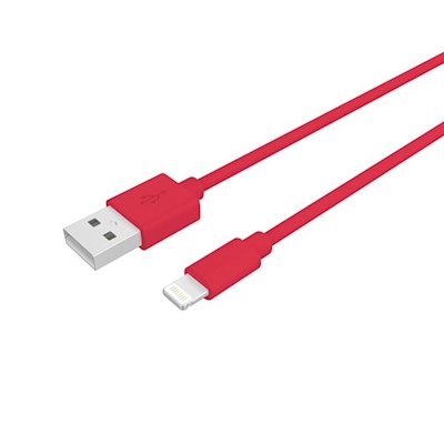Immagine di Pc USB to lightning cable 12w